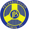 team-logo