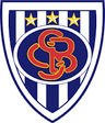 team-logo