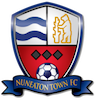 team-logo
