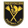 team-logo