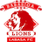 homeLogo