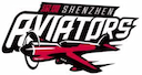 Shenzhen Leopards