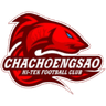 team-logo