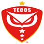 team-logo