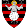 team-logo