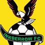 team-logo