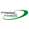 team-logo
