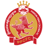 team-logo