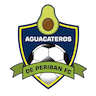 team-logo