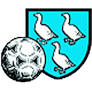 team-logo